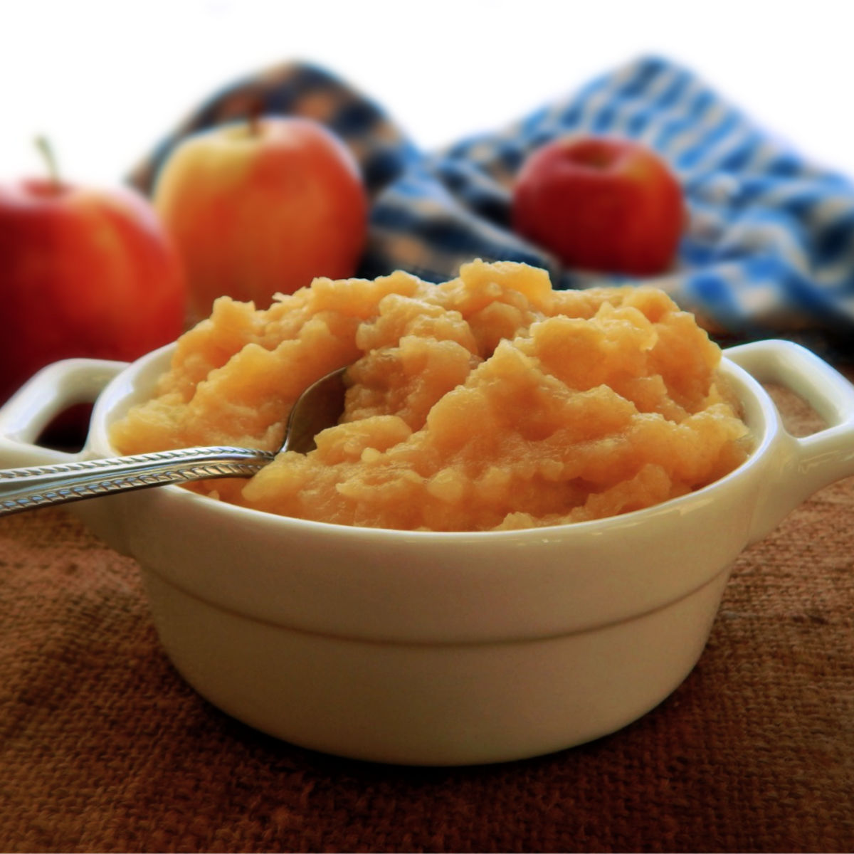 Homemade Applesauce Small Batch