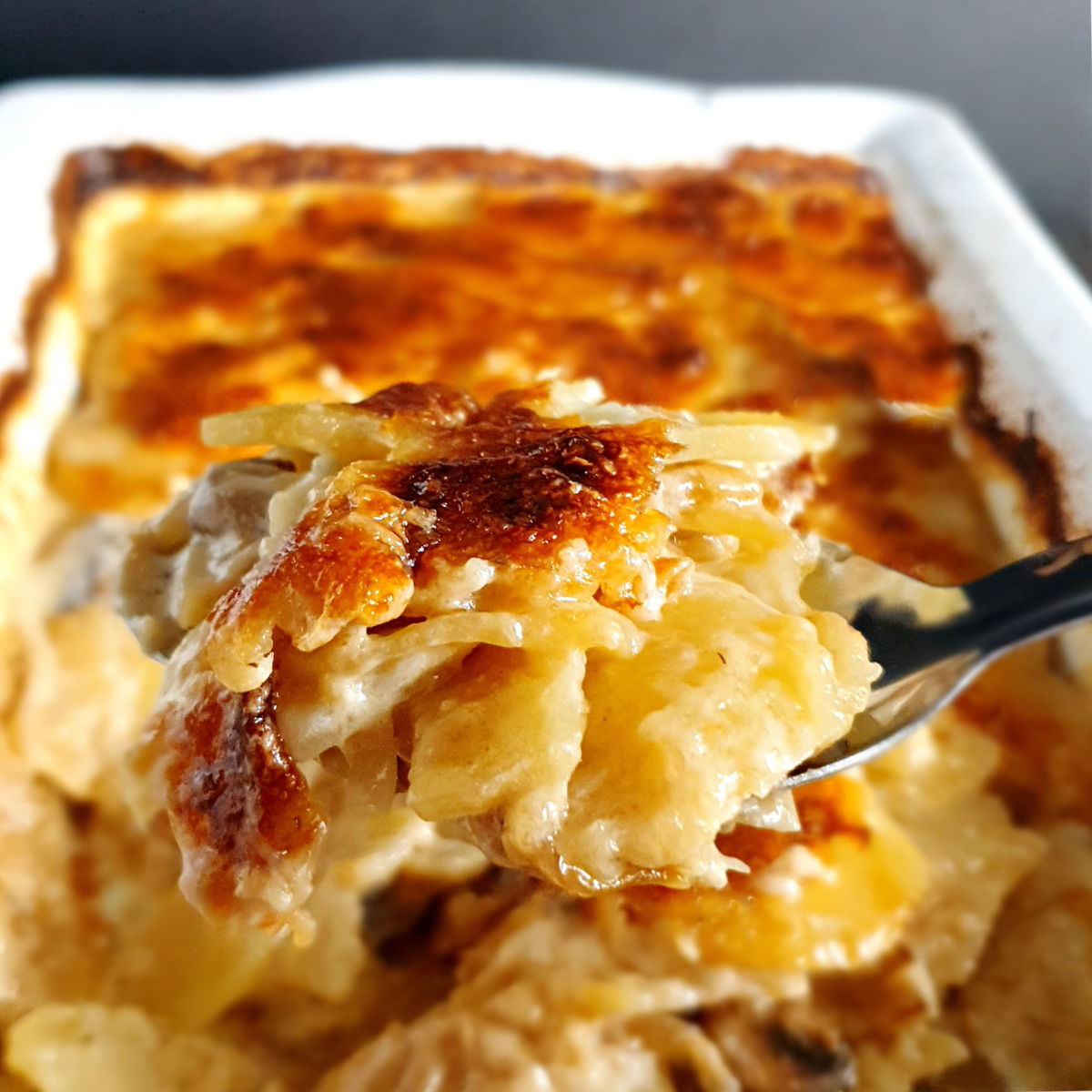 Potato Mushroom Caramelized Onion Gratin