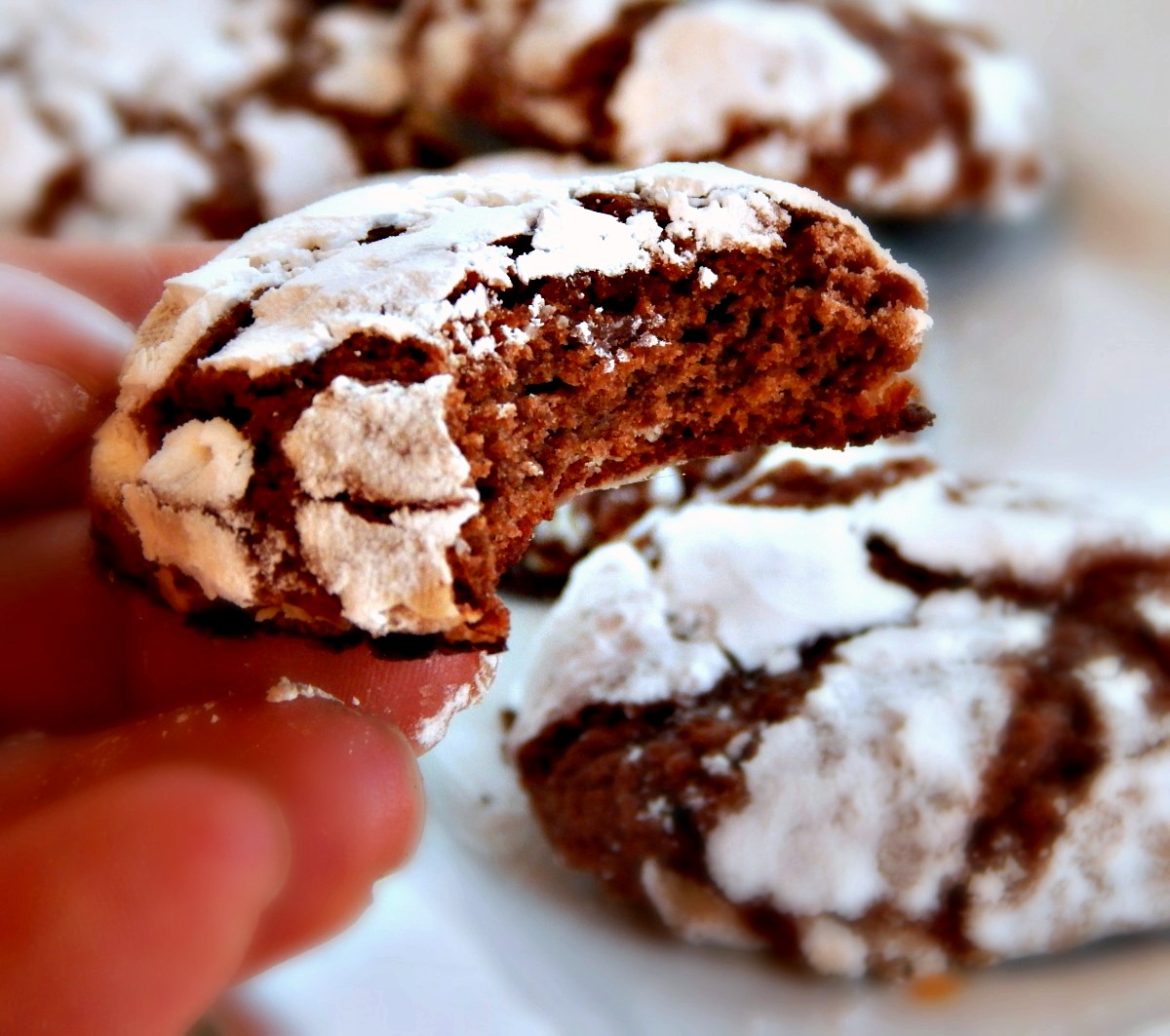 Cocoa Snowflakes or Cocoa Crinkles