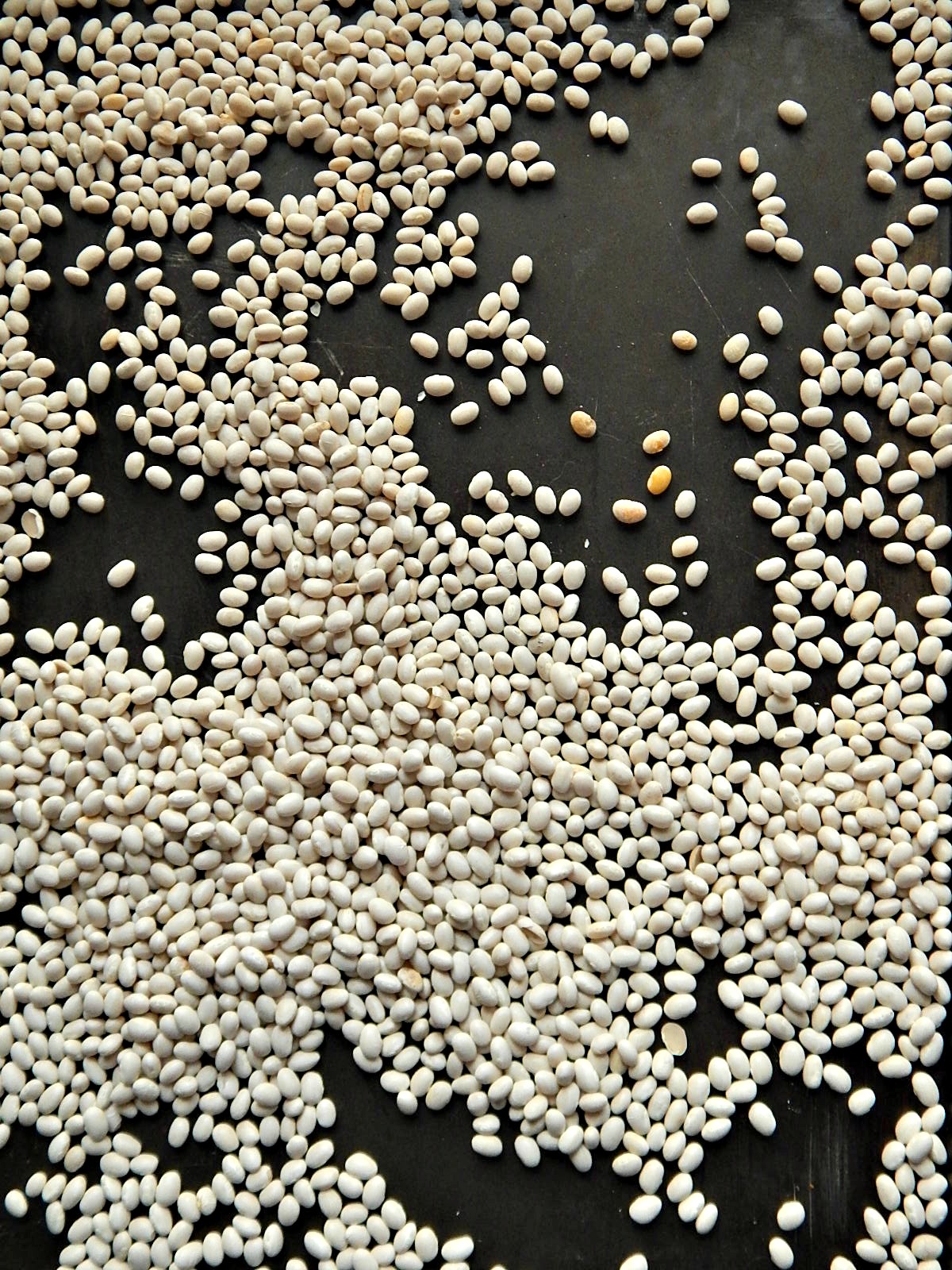 brining beans traditional or Instant pot