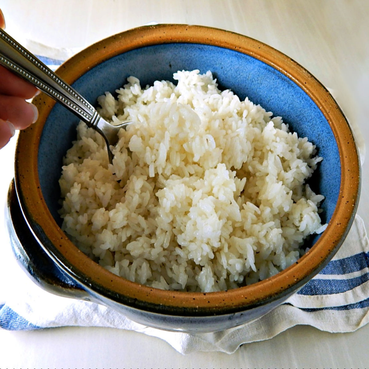 Perfectly cooked Instant Pot Rice in the Instant Pot plus how to fix rice that doesn't come out right