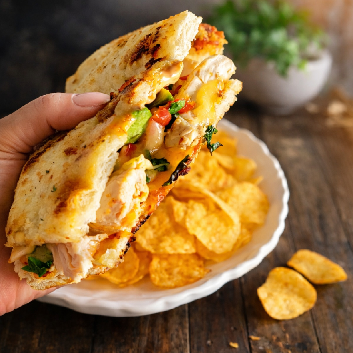 Copycat Panera Chipotle Chicken Avocado Melt