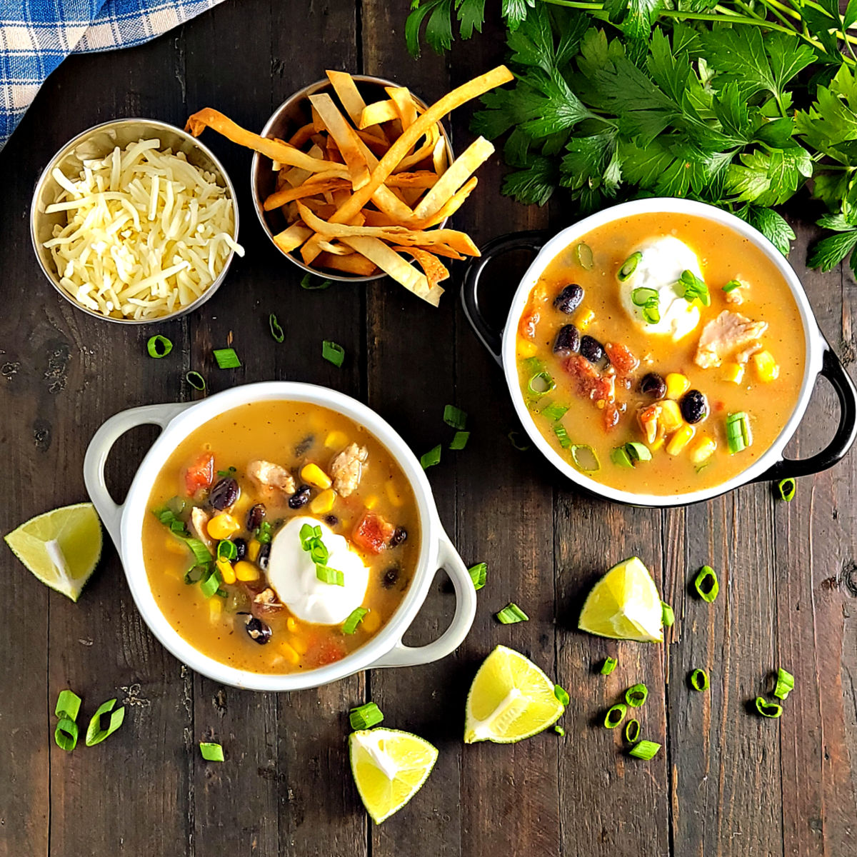 Easy Six Can Soup Chicken Tortilla Soup