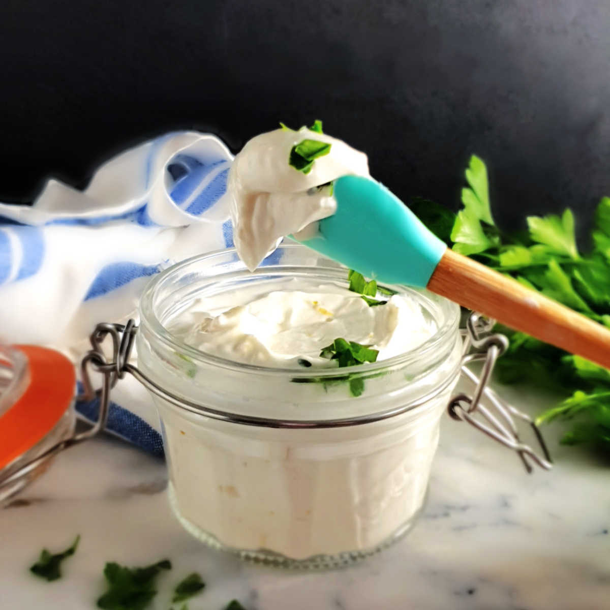 Quick Garlic Yogurt Sauce