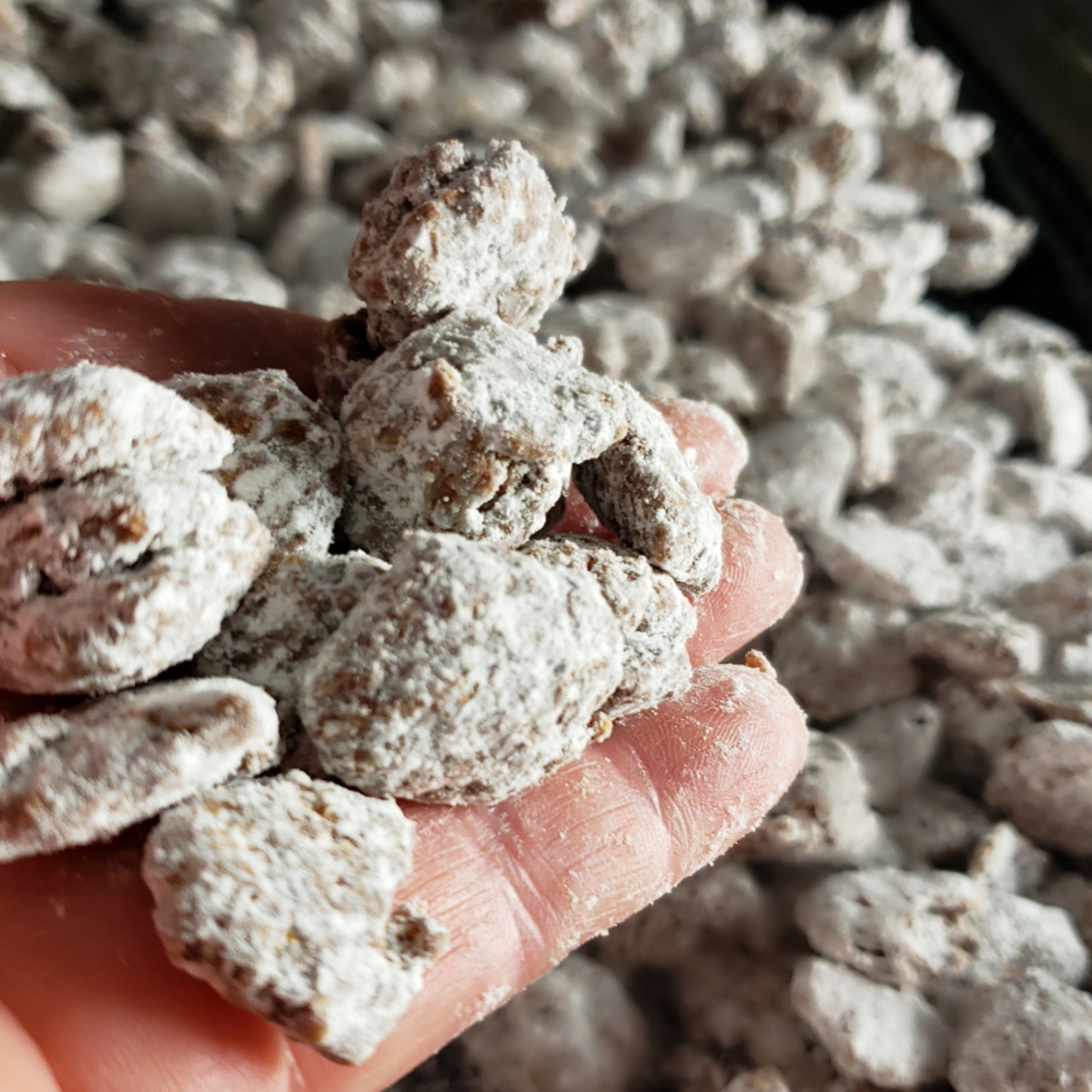 The Best Puppy Chow